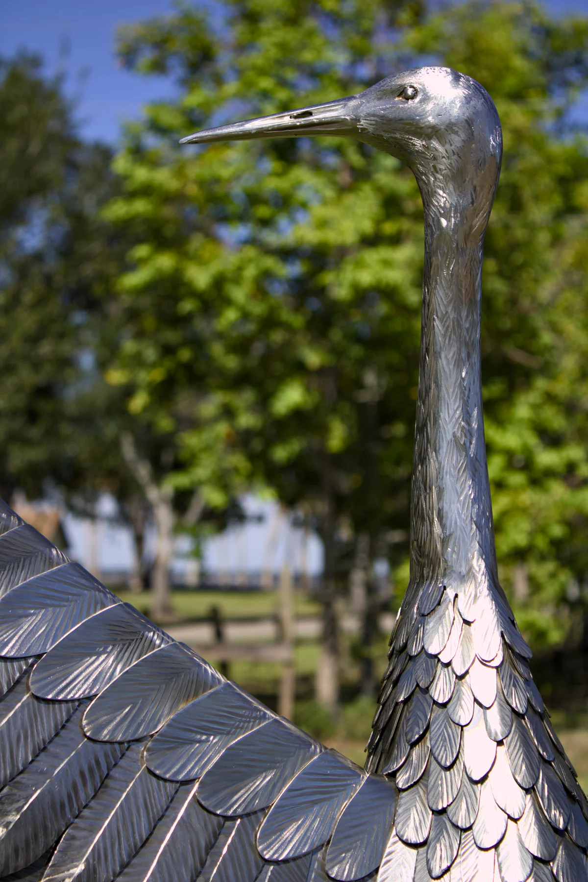 Close view of the crane's head and neck with its feathered wing in the foreground.